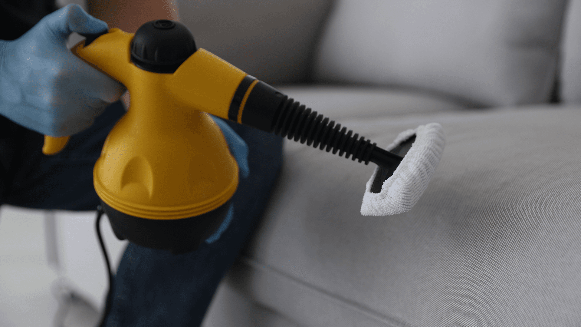 Steam Cleaner